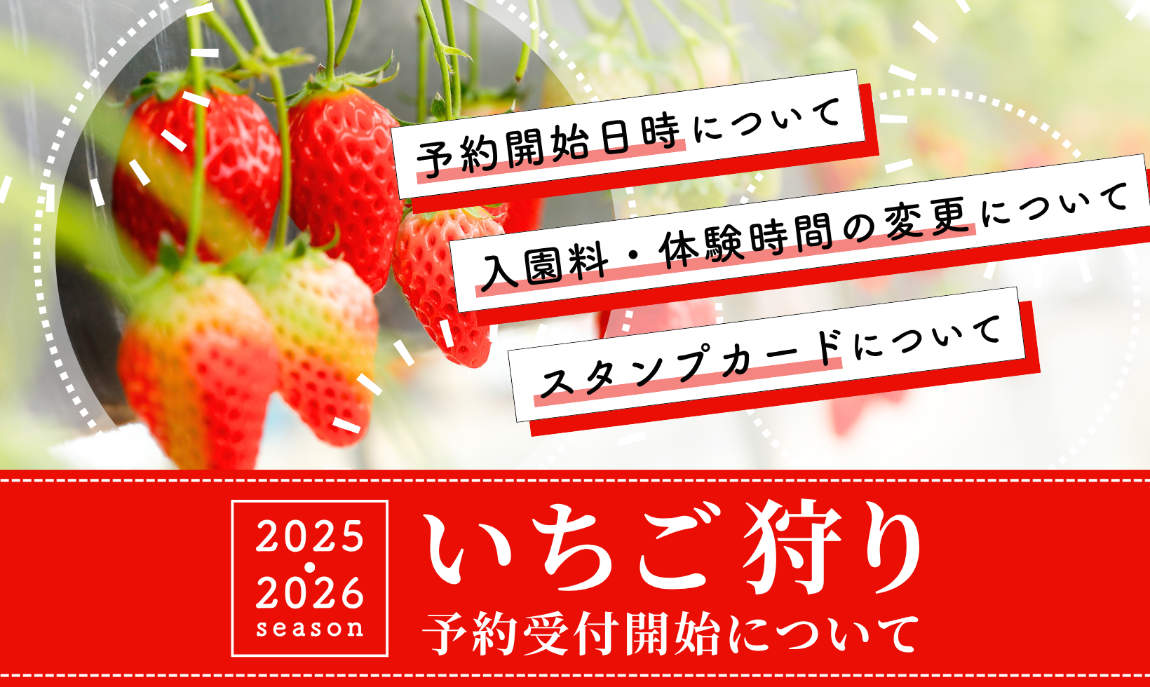 いちご狩り 今シーズンの予約受付について